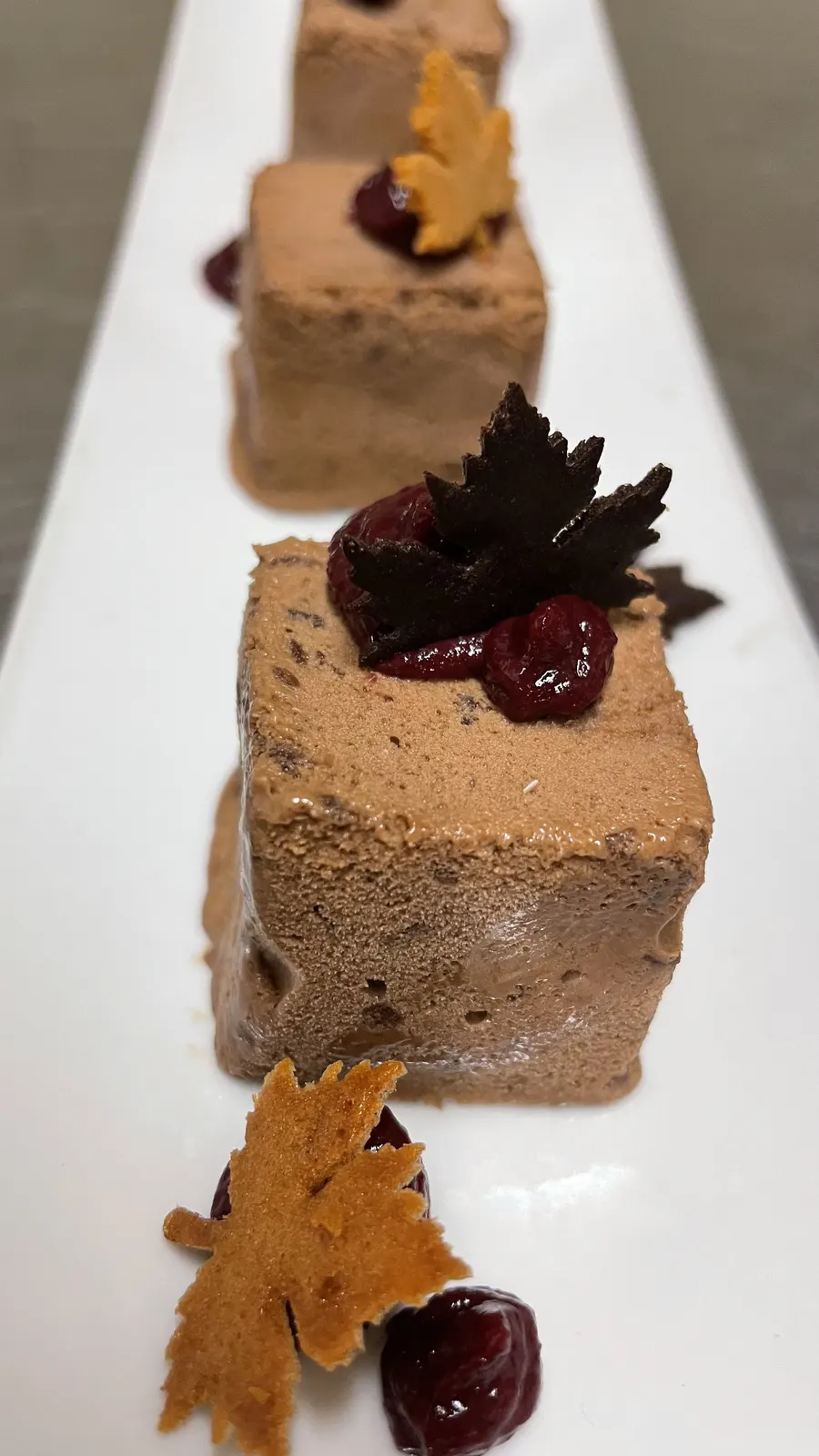 Mousse au chocolat — Mousse au chocolat, cranberries et feuilles croustillantes.